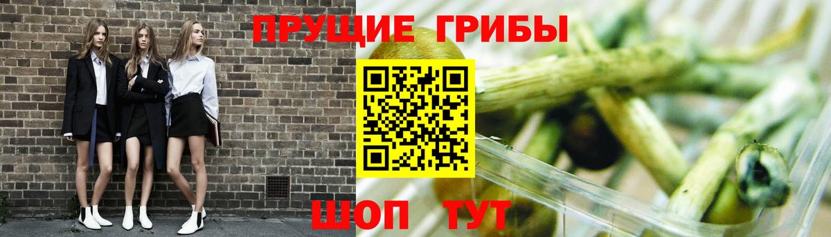 Галлюциногенные грибы прущие грибы  Галлюциногенные грибы MAGIC MUSHROOMS  Богданович  Вход с VPN 