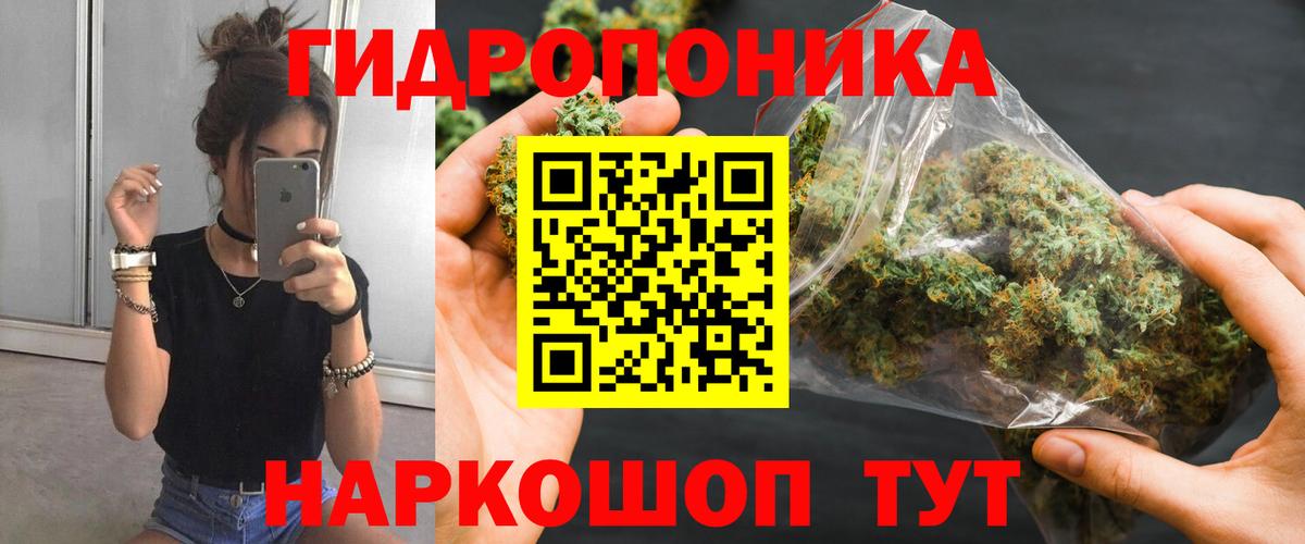 Марихуана OG Kush  Вход с VPN  Канабис марихуана  Богданович  Конопля White Widow  Бошки марихуана SATIVA & INDICA 